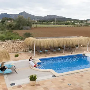 Mestral Alcúdia